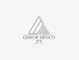 gesfor gesfor