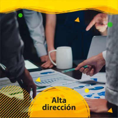 Alta dirección